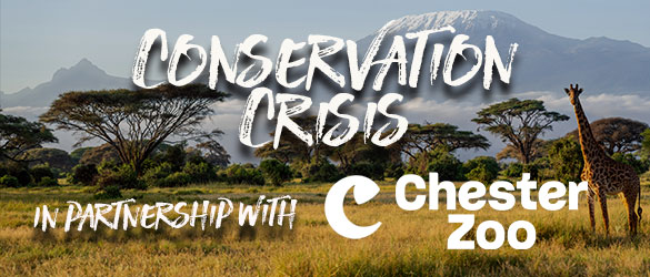 Conservation Crisis live escape room at Escapism Chester